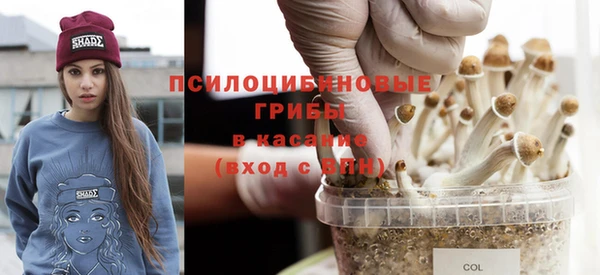 альфа пвп Белокуриха