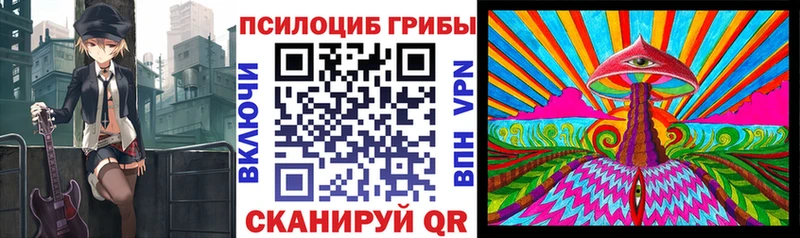 Псилоцибиновые грибы MAGIC MUSHROOMS  наркота  Цивильск 